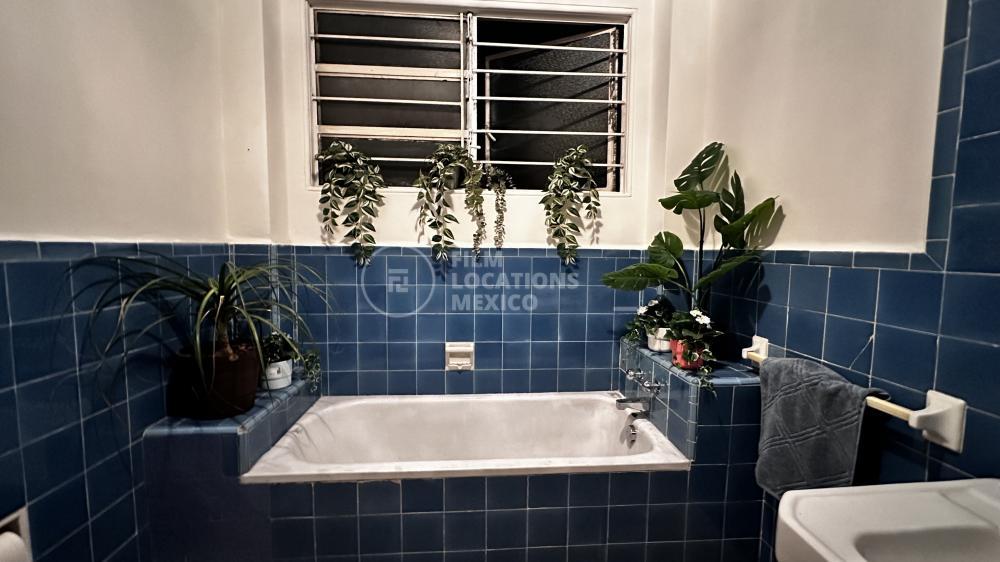 Baño 001