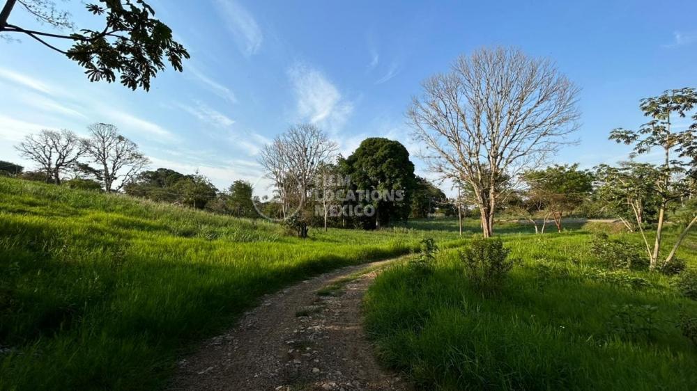 Caminos de Tierra VE