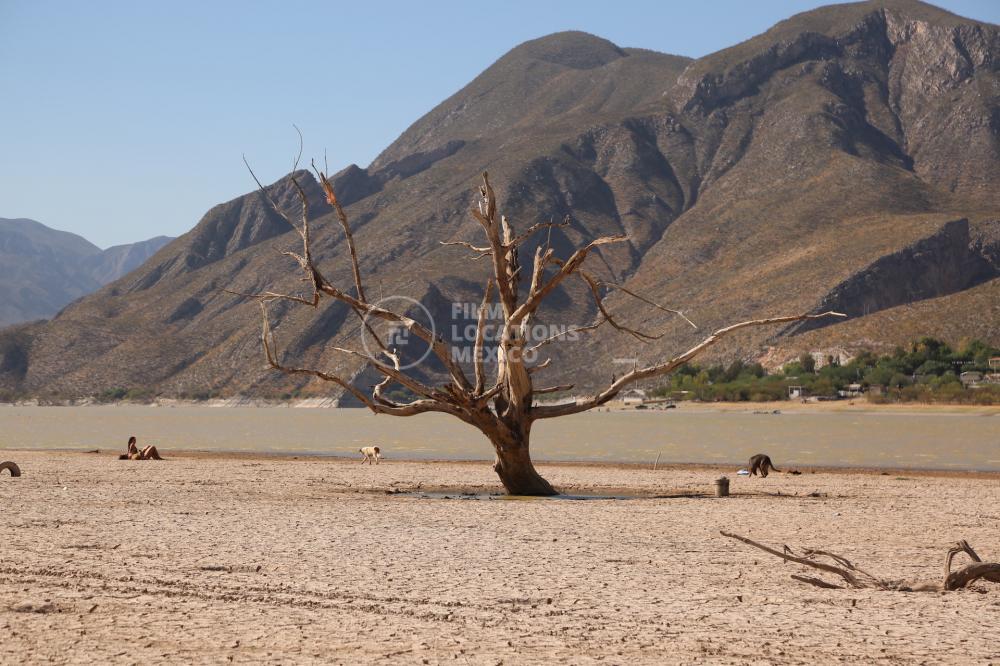 Desiertos DG