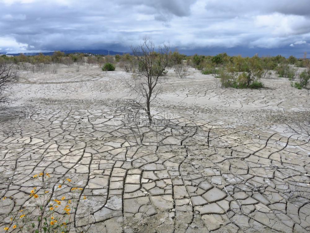 Desiertos HG