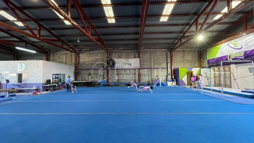 Gimnasia 006