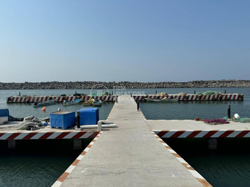 Muelles VE